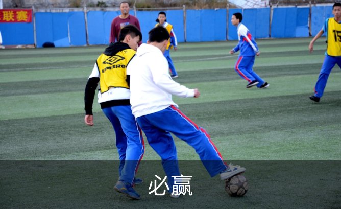 必赢简介